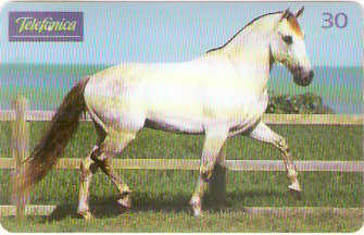 SP-0217M - Andaluz é Agilidade